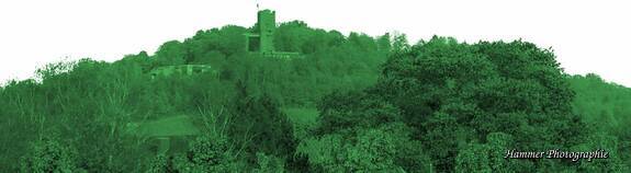 Blick auf den Turmberg: saftigesGrün – Logos und Webseiten hier in Karlsruhe-Durlach