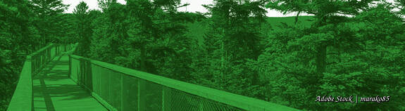 Portfolio: So baust du Brücken zu deiner Zielgruppe - Beispiele und Inspiration