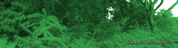 Blog: Si wirst du sichtbar im Mitbewerb-Dschungel