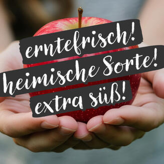 Apfel mit Qualitätsmerkmal als Symbolbild: klare Positionierung bringt mehr Kunden über die Website. Apfel mit Qualitätsmerkmal als Symbolbild: klare Positionierung bringt mehr Kunden über die Website.