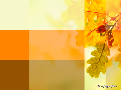 Farbkontraste grenzen Elemente ab und fokusieren.