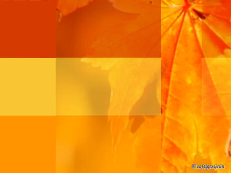 Farbwirkung: Moodboard aus warmen Herbsttönen