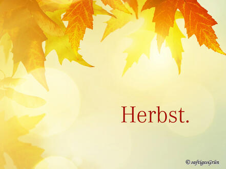 Mit Herbstfarben warme Akzente setzen.