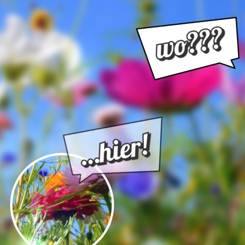 In diesem Blumenmeer gilt es auf die eigene Einzigartigkeit hinzuweisen!