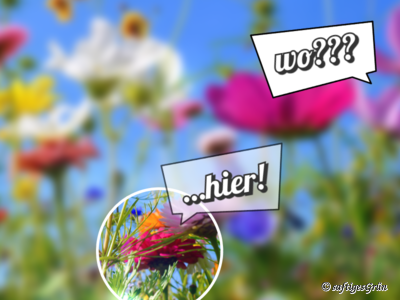 Anschauungsbeispiel Blumenwiese: In der Vielfalt der Unternehmensbeschreibung geht dein Angebot auf der Webseite unter.
