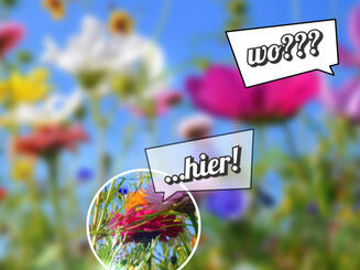 Wenn Kunden deinen Angebot finden sollen, mach auf die Einzigartigkeit aufmerksam.