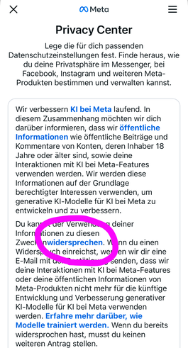 Smartphone-Screenshot mit der Markierung für den Link um über die Instagram-App dem KI-Training zu widersprechen.