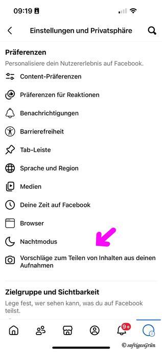 Unter "Einstellungen & Privatsphäre"  bei Foto-Icon "Vorschläge zum Teilen…" anklicken.