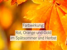 Goldgelbe Ahornblätter im Gegenlicht mit der Aufschrift „Farbwirkung: Rot, Orange und Gold im Spätsommer und Herbst"