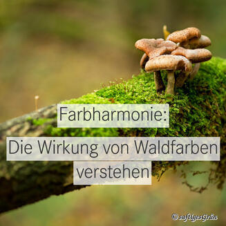 Grüntöne und Erdtöne: Wie Naturfarben wirken Grüntöne und Erdtöne: Wie Naturfarben wirken