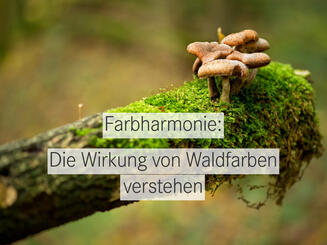 Moosbewachsener Ast mit kleinen Pilzen, dazu die Aufschrift „Farbharmonie: Die Wirkung von Waldfarben verstehen"