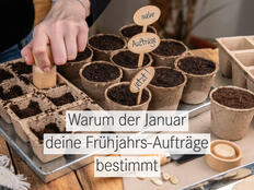 Schon im Januar die Marketingplanung für das Frühjahr im Blick haben