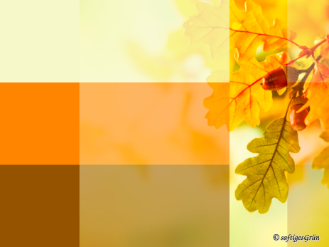 Farbkontraste grenzen Elemente ab und fokusieren. Farbkontraste grenzen Elemente ab und fokusieren.