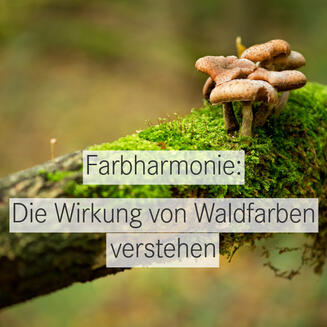 Wie Waldfarben in der Farbenlehre wirken.