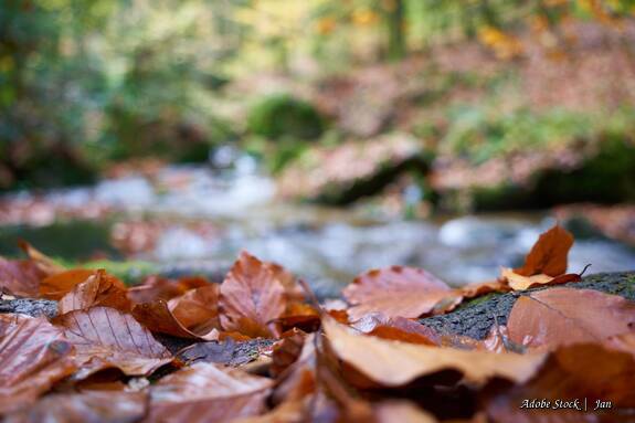 Erdtöne vermitteln eine ruhige aber kraftvolle Stimmung.