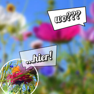 Wenn Kunden deinen Angebot finden sollen, mach auf die Einzigartigkeit aufmerksam.