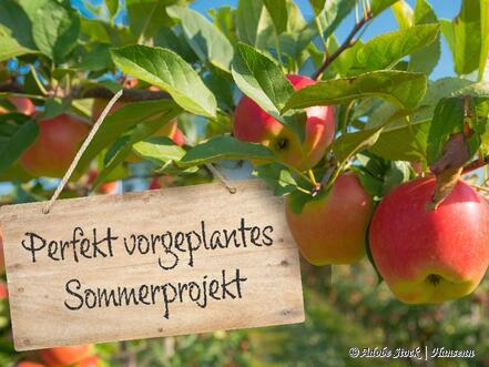 Jetzt die Angebotsseite für mehr geplante Anfragen im Sommer optimieren.